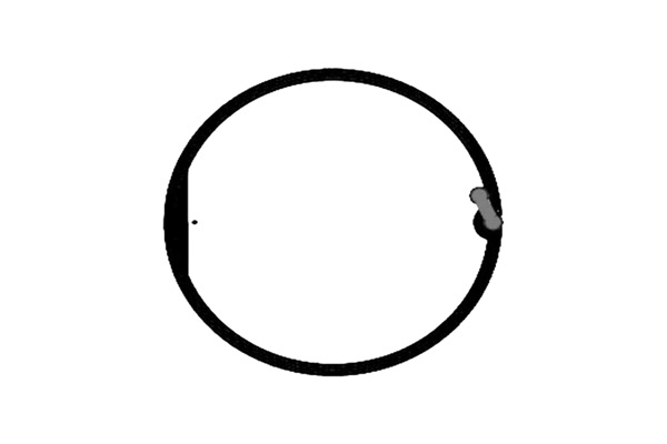 高频 RFID NXP Ntag 干inlay D=58mm - HF RFID Inlay - RFID标签