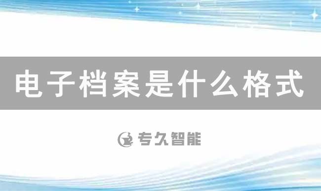 电子档案是什么格式-专久智能