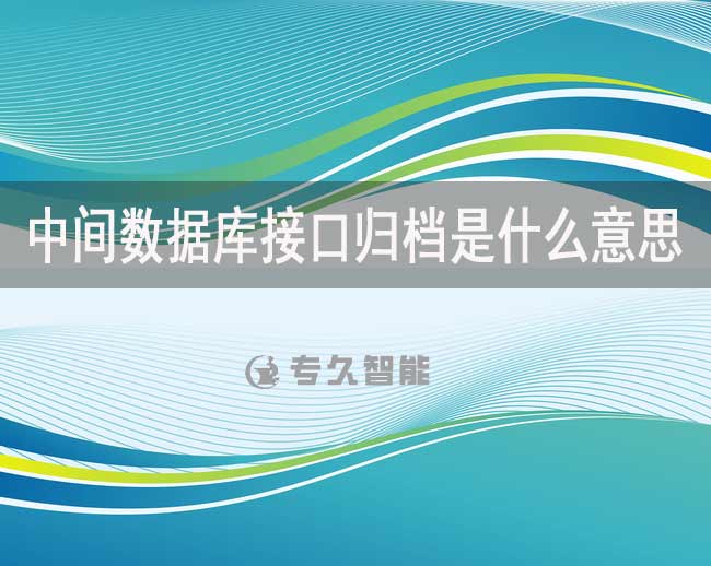 中间数据库接口归档是什么意思-专久智能