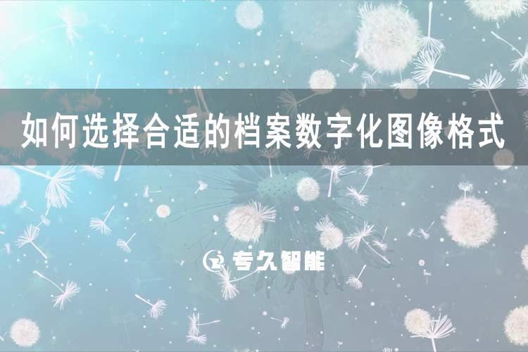如何选择合适的档案数字化图像格式？-专久智能