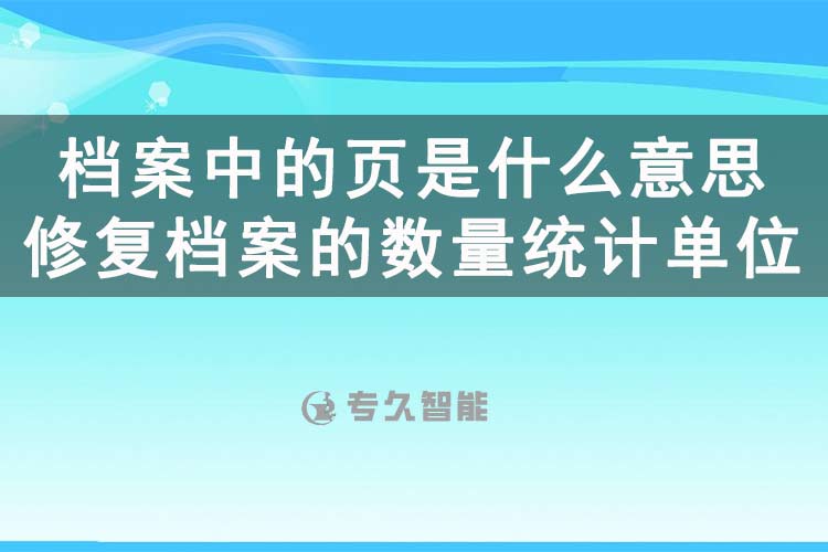 档案中的页是什么意思？修复档案的数量统计单位是什么？-专久智能