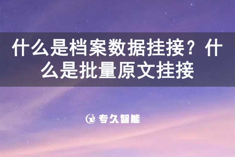 什么是档案数据挂接？什么是批量原文挂接